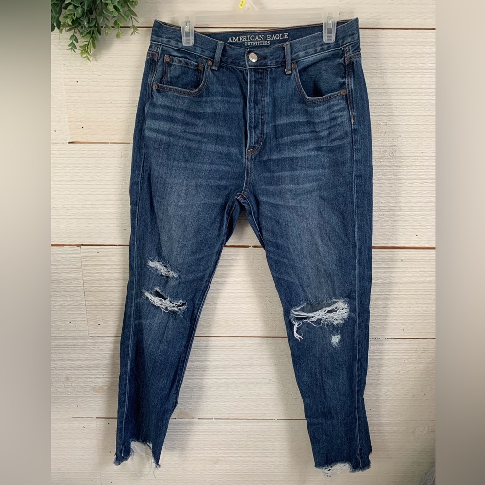 Stone washed Jeans w/designer rips by American Eagle Outfitters.  Size 8.